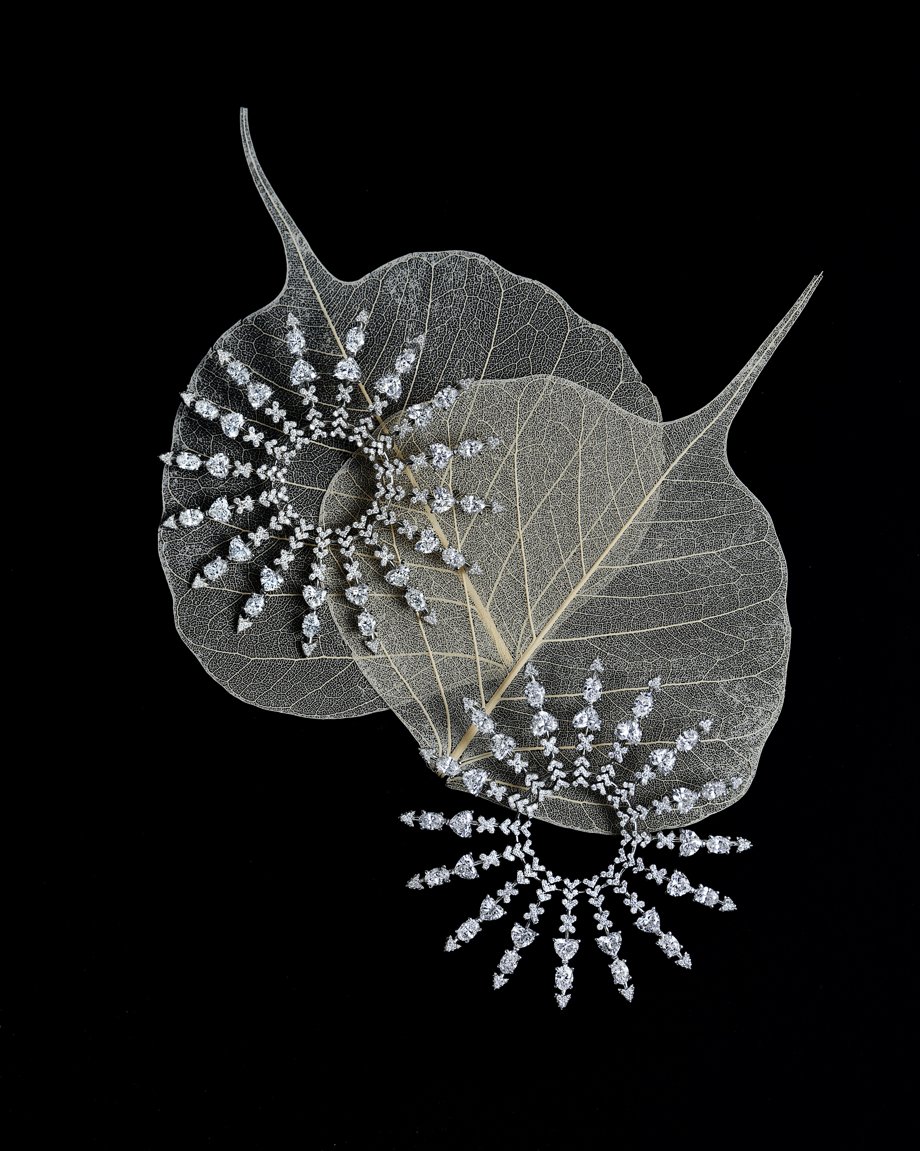 "THE STARS MY DESTINATION" DIAMOND EARRINGS / 12.504 CTW
18K White Gold
