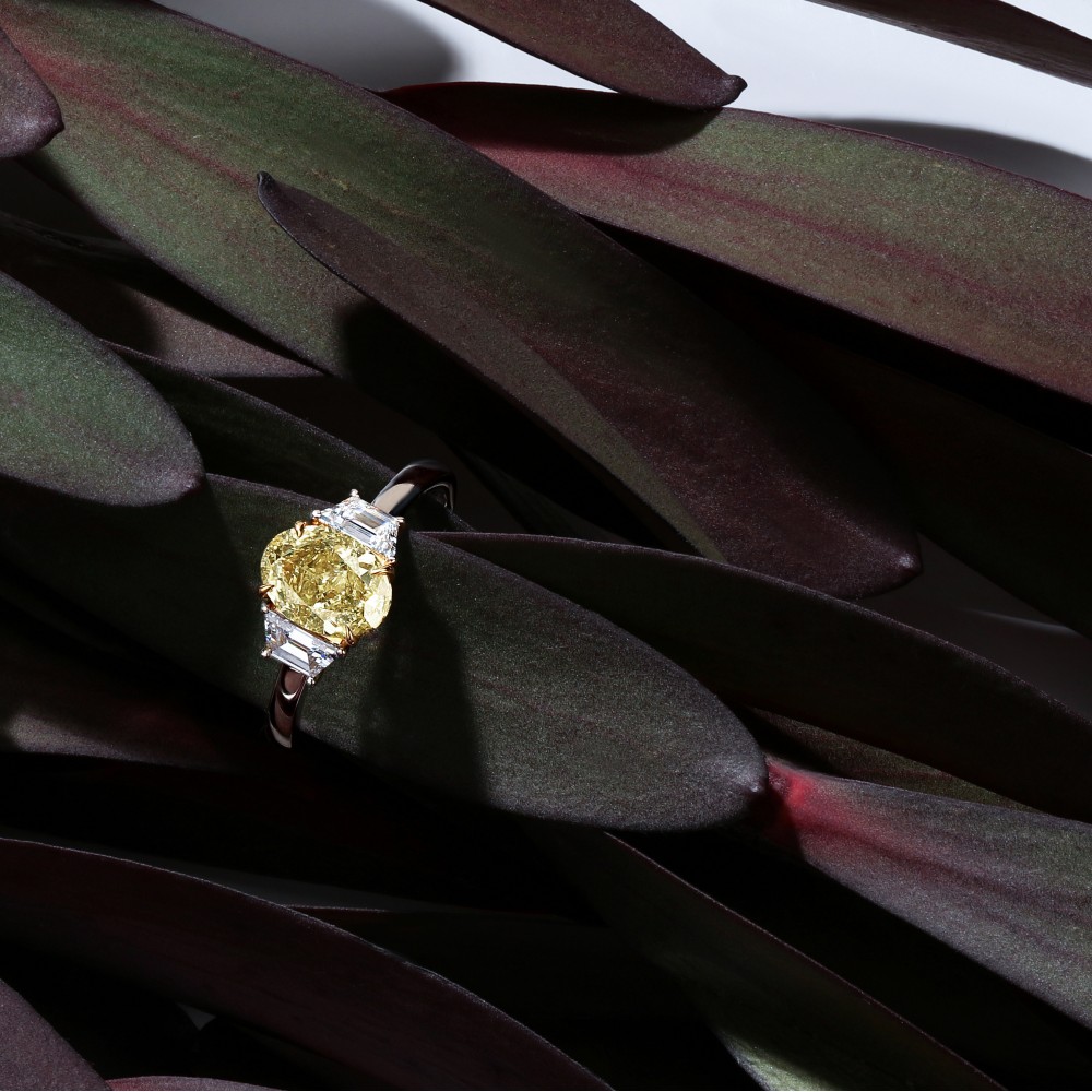 Ring, 18-carat white gold with diamonds and yellow diamonds