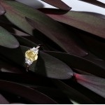 Кольцо, Белое золото 750 пробы с бриллиантами и желтыми бриллиантами