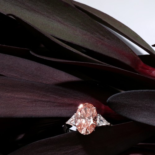 Ring, 18-carat white gold with pink diamonds